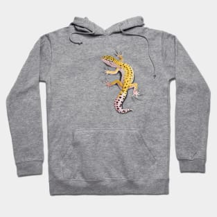 Leopard Gecko Clinger Hoodie